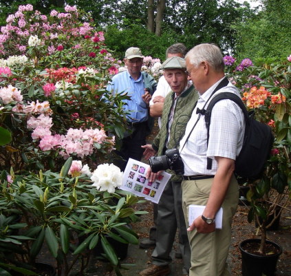 rhododendron-festival 2019, rododendron weekend, focus på rhododendron, rododendron tema 2019